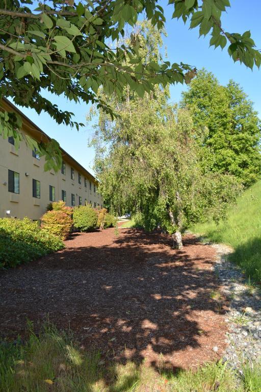 Super 8 By Wyndham Port Angeles At Olympic National Park Motel Exterior photo